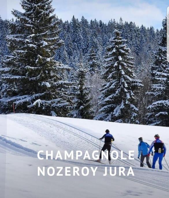 Willa Gite Jura Mina Chalet Au Milieu De La Nature Ney Zewnętrze zdjęcie